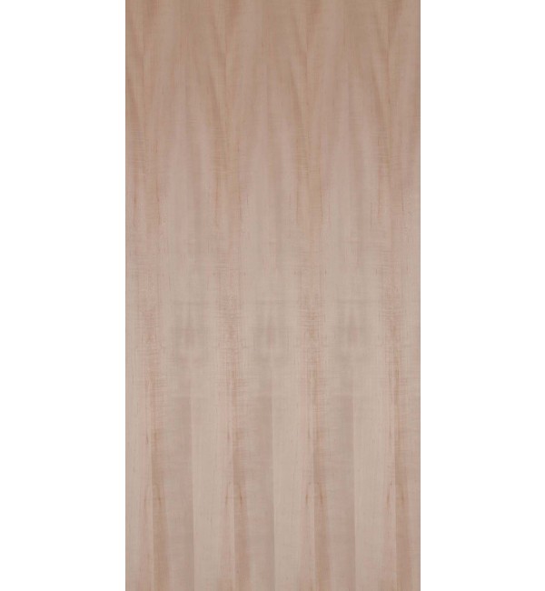 Greenlam American Maple Veneer Laminates