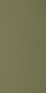 Pine Nut Gloss (GLS) laminates by Greenlam