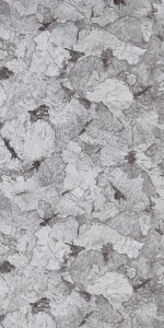 Samsara Canyon (CNY) laminates by Greenlam