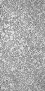 Neptuno Pearl Satin (SAT) laminates by Greenlam