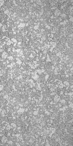 Neptuno Pearl Super Gloss (SGL) laminates by Greenlam