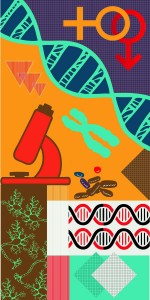 Chromozones Suede (SUD) laminates by Greenlam