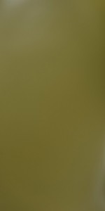 Golf Green Super Gloss (SGL) laminate sheets by Greenlam