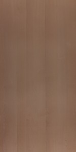 Steam Beech NA laminates by Greenlam