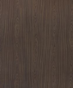 American Walnut