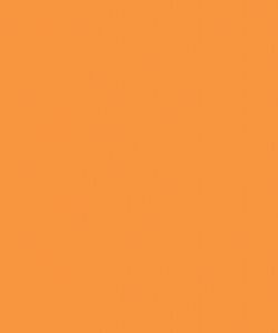 Light Orange