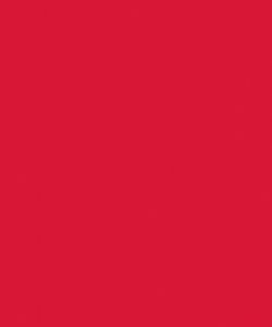 Red Dynasty