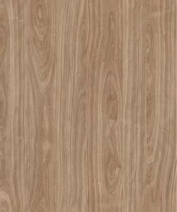 Nordic Walnut