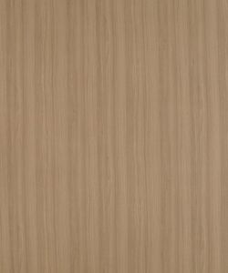 Xyloid Teak