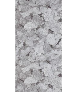 Samsara High Definition Gloss (HDG) laminates by Greenlam