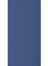 Electric Blue