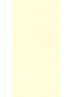 Mysore Ivory