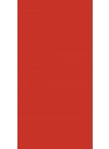 Red Dynasty